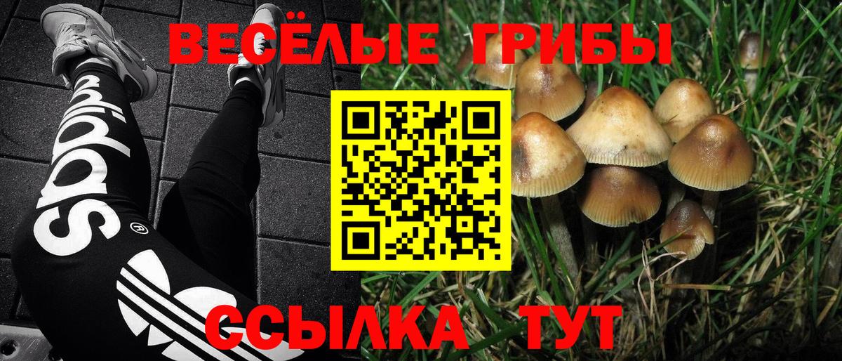 Псилоцибиновые грибы ЛСД  где можно купить   Вход с VPN  Можайск  Псилоцибиновые грибы ЛСД 